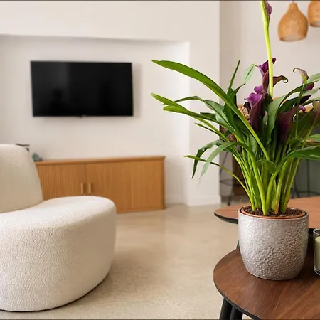 Carre Du Roi, T3, Jardin, Clim, Centre-ville, Arceaux Apartament *